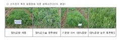 산지초지 종자 제때 겉뿌림으로 방목 최적지 완성 