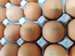 살충제 계란 공포, 먹거리 불안 가중