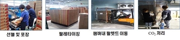 ‘수출용 토마토’ 이산화탄소 처리로 부패율 줄인다