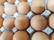 살충제 계란, 국민식탁 불안 가중