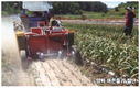 밭작물 활성화 위해 빅데이터 연계한 공간정보 구축 선행돼야