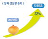 양파 전년보다 22% 생산 증가… 가격 폭락 우려