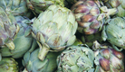 채소의 여왕 ‘아티초크(ARTICHOKE)’