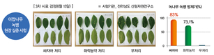 가로수도 친환경 방제시대… 친환경방제제 ‘싸자바’ 출시 임박