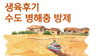수확량 좌우하는 중요한 시기 ‘생육후기 수도 병해충 방제’