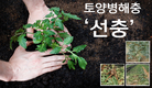 보이지 않는 토양병해충 ‘선충’ 관리