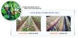 관수자재의 혁신, 세계 유일의 ‘미스트호스’