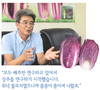 종자 강국 네덜란드에 kg당 3000달러에 수출