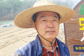 결실의 절정 앞둔 텃밭, 김장농사 한창