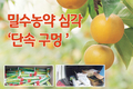 밀수농약 심각 ‘단속 구멍 ’… 5년간 8건 불과