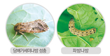 따뜻한 곳 찾는 ‘밤나방’ 틈새차단 및 초기 방제로 효과 높여야