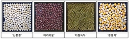 농업기술실용화재단, 2019년 밭작물 종자 보급