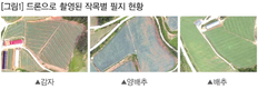 드론으로 농업 마케팅 기초자료 수집·활용 