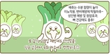 aT, 월동채소류 소비활성화에 나선다
