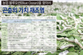 곤충 가치 재조명, 2020년 1조원 시장규모 성장 전망