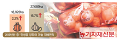 농식품부, 중·만생종 양파·마늘  선제적 시장격리 등 수급안정 대책 추진