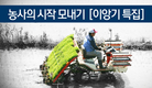농사의 시작 모내기, 이앙기 없으면 앙돼요~