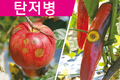 농가에 직접적인 경제적 피해를 끼치는 탄저병