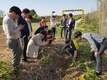 끈질긴 칡덩굴, “하늘아래”로 깨끗하게!
