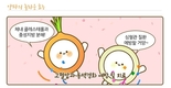 ‘천연 피로회복제’양파, 많이 드세요