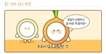 ‘천연 피로회복제’양파, 많이 드세요