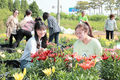 한국농수산대학, 아시아틱 (분화‧조경용)백합 국산화에 앞장