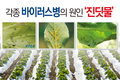 각종 바이러스병의 원인이 되는 ‘진딧물’