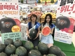 농우바이오, 고당도 흑피수박‘블랙위너’특별 판매전 개최
