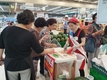 농우바이오, 고당도 흑피수박‘블랙위너’특별 판매전 개최