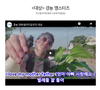 경농 대학생 패러디 UCC 공모전 성료