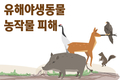 유해야생동물 농작물 피해액 최근 5년간 569억원