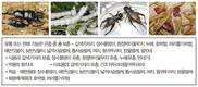 곤충도 가축입니다. 
