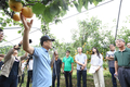 햇배 ‘한아름’엔 달콤한 과즙이 ‘한가득’