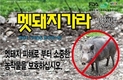 아프리카돼지열병 “멧돼지 접근차단 중요”
