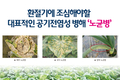 환절기에 조심해야할 대표적인 공기전염성 병해 ‘노균병’