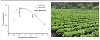 인공기상 장치로 배추 고온피해 예측모형 개발