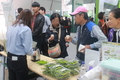 혈당 강하 성분으로 화제된 미인풋고추' 관람객 관심↑
