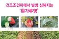 과습조건보다 건조조건하에서 발병 심해지는 ‘흰가루병’