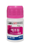 겨울철 시설하우스, 잿빛곰팡이병·흰가루병 우려