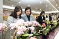 우수한 ‘국산 난 품종’ 서양란 시장에서 약진