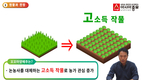 아시아종묘, ‘꼬꼬마양배추 재배기술 강의’ 영상 강의 서비스 개시