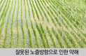 국내 논잡초 제초제 9년 연속 점유율 1위