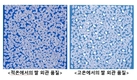 제때 모내기해야 고품질 쌀 생산할 수 있어요