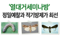 ‘열대거세미나방’ 정밀예찰과 적기방제가 최선