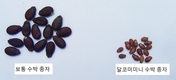 ‘씨 없는 수박’, ‘미니 수박’으로 글로벌 시장 개척