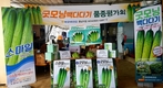 농우바이오, 오이 신품종 ‘굿모닝’ 백다다기로