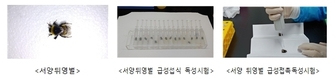 농촌진흥청, 화분매개충 농약독성시험법 확립