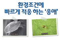 환경조건에 빠르게 적응 하는 ‘응애’