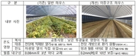 농촌진흥청, 큰비·더위에 강한 ‘인삼 이중구조 하우스’ 보급
