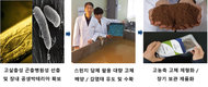 ‘해충 잡는 선충’으로 친환경 해충 방제 길 열어